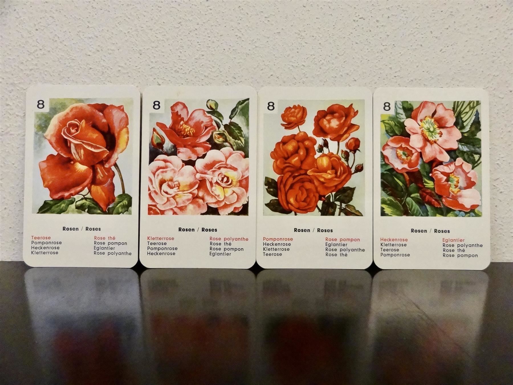 Giochi: altes Quartett BLUMEN-QUARTETT BLUMEN – Usato da Kerzers venduto da wisaundso 8