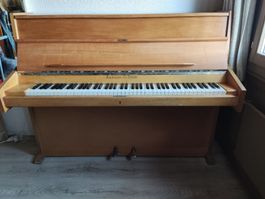 Klavier Bachmann und Co. Zurich Holz Gebraucht Zustand