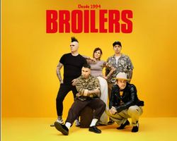 1-3 Tickets - Broilers - 11.09.26 - Volkshaus Zürich