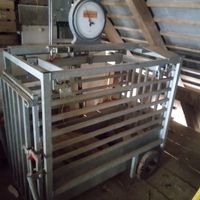 mechanische Zeigerwaage