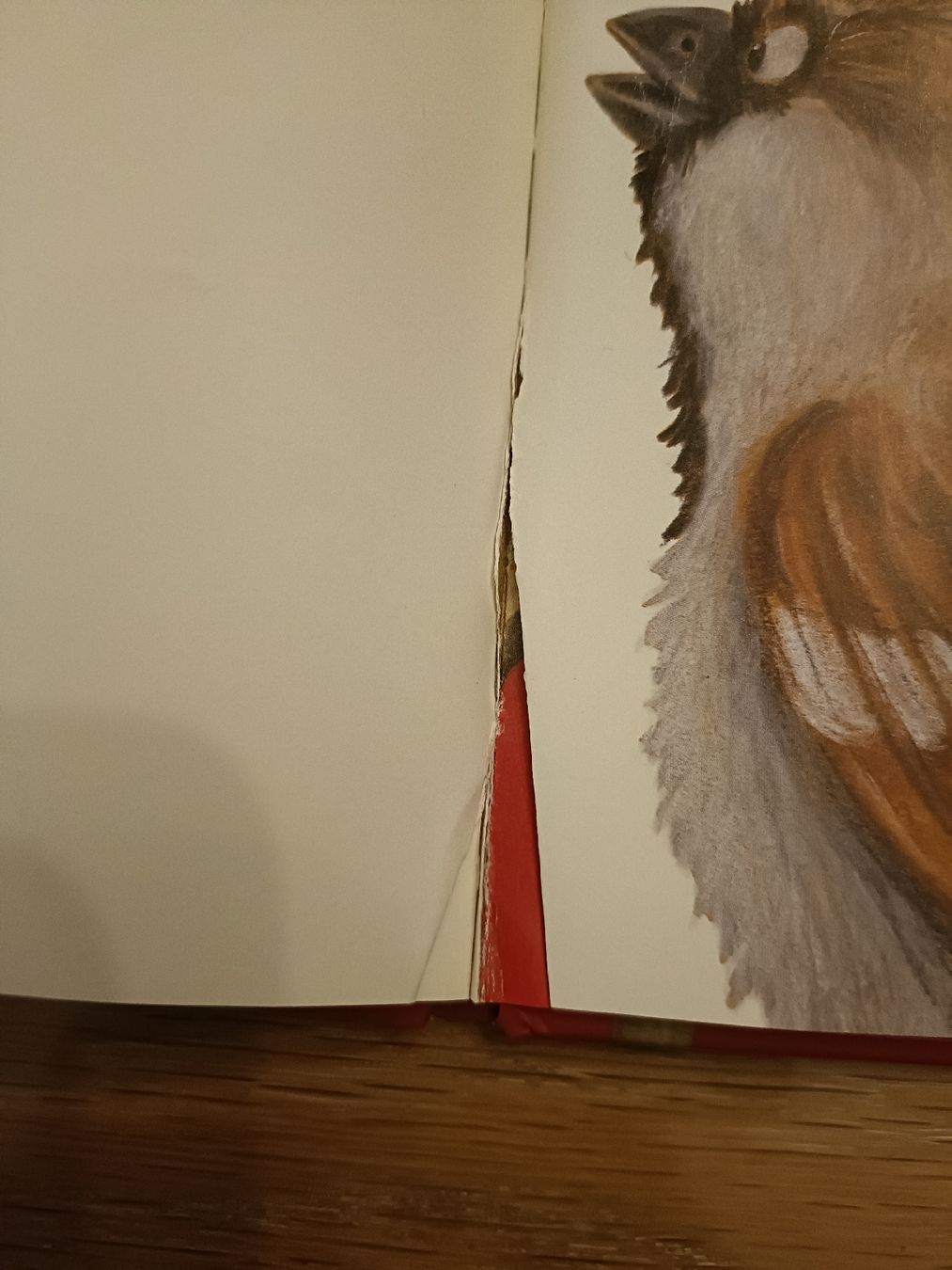 Livres: Kinderbuch mutig, mutig – D'occasion à Obfelden par xcorinax 1