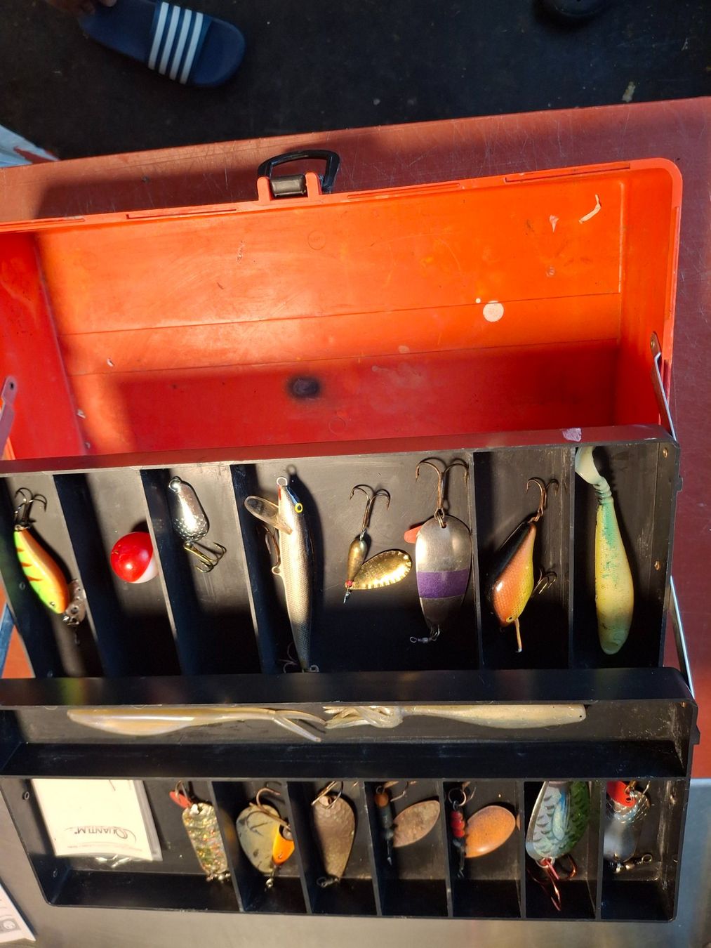 Köder: Fisch köder mit box – Gebraucht aus Rothenthurm von marei86