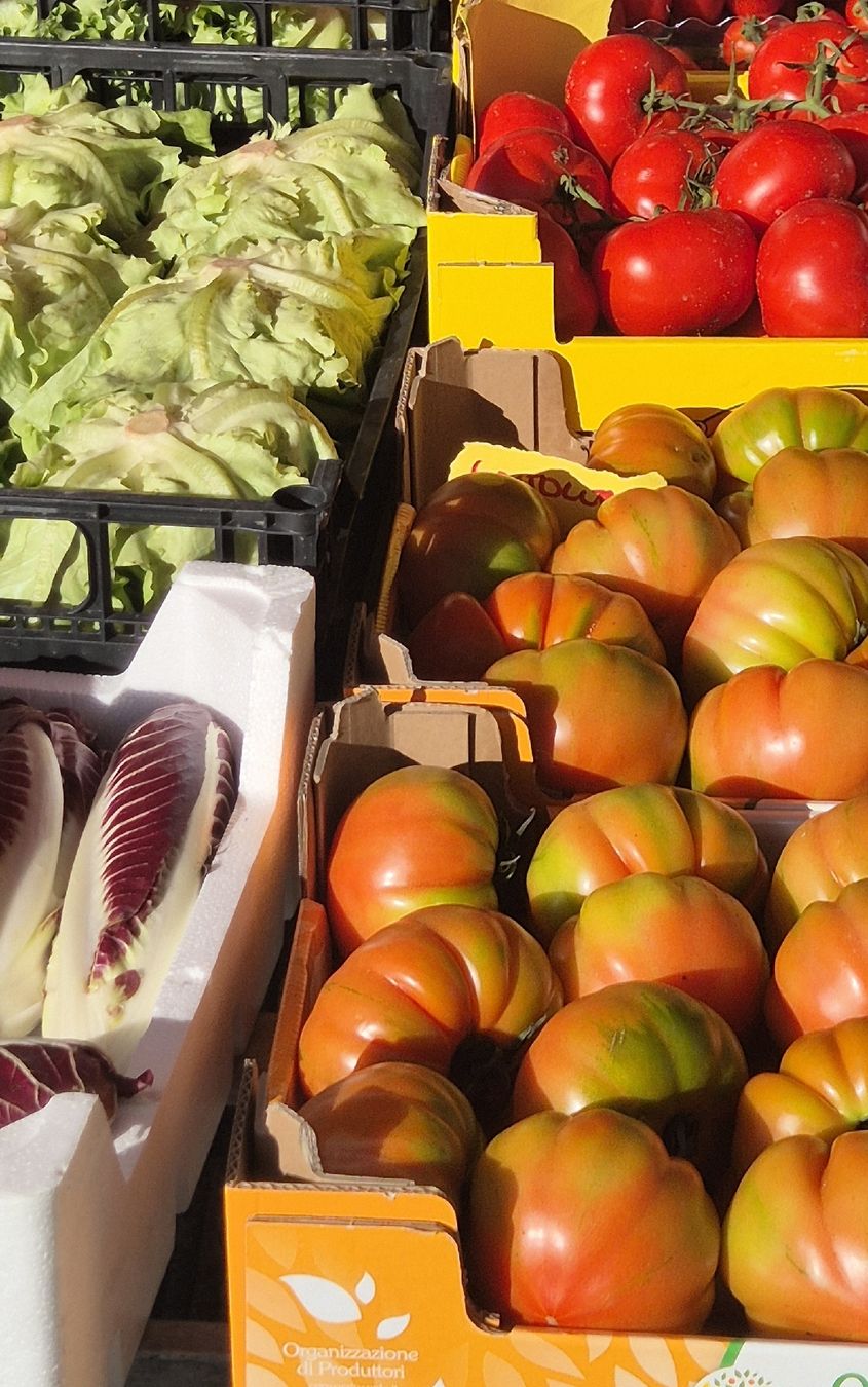 Laboratorio & Camera oscura: Mercato in Cinque Terre Italien  – Nuovo e nell'imballaggio originale da Basel venduto da Shoppen