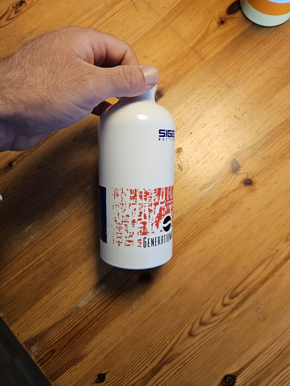 Sigg Altro in Stoviglie & Bicchieri: Sigg Bottle Vintage/Retro – Usato da Luzern venduto da mar_v2fk 2
