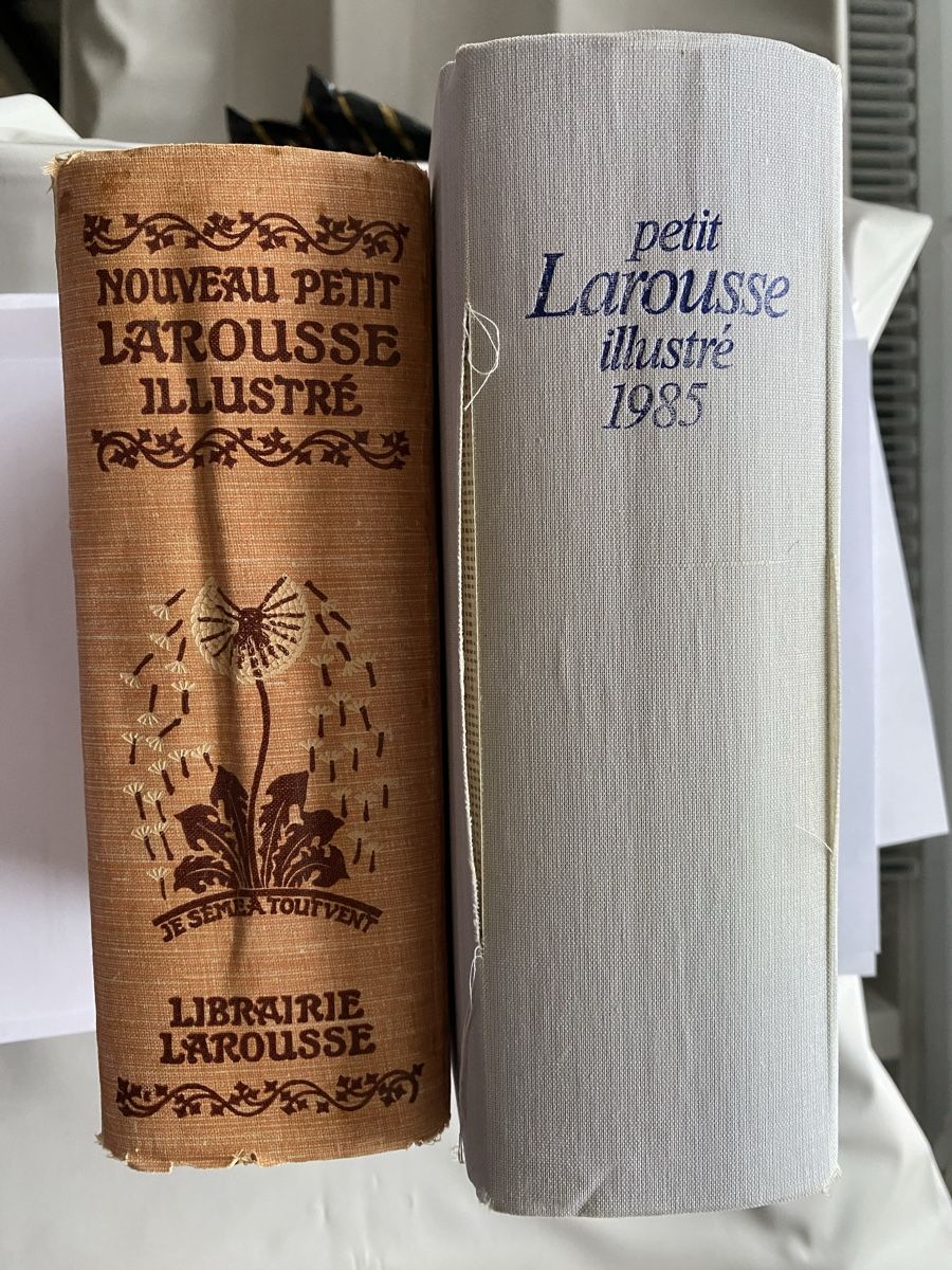 Libri: France, Ancien dictionnaire Larousse – Usato da Corsier-sur-Vevey venduto da Ginoarturo