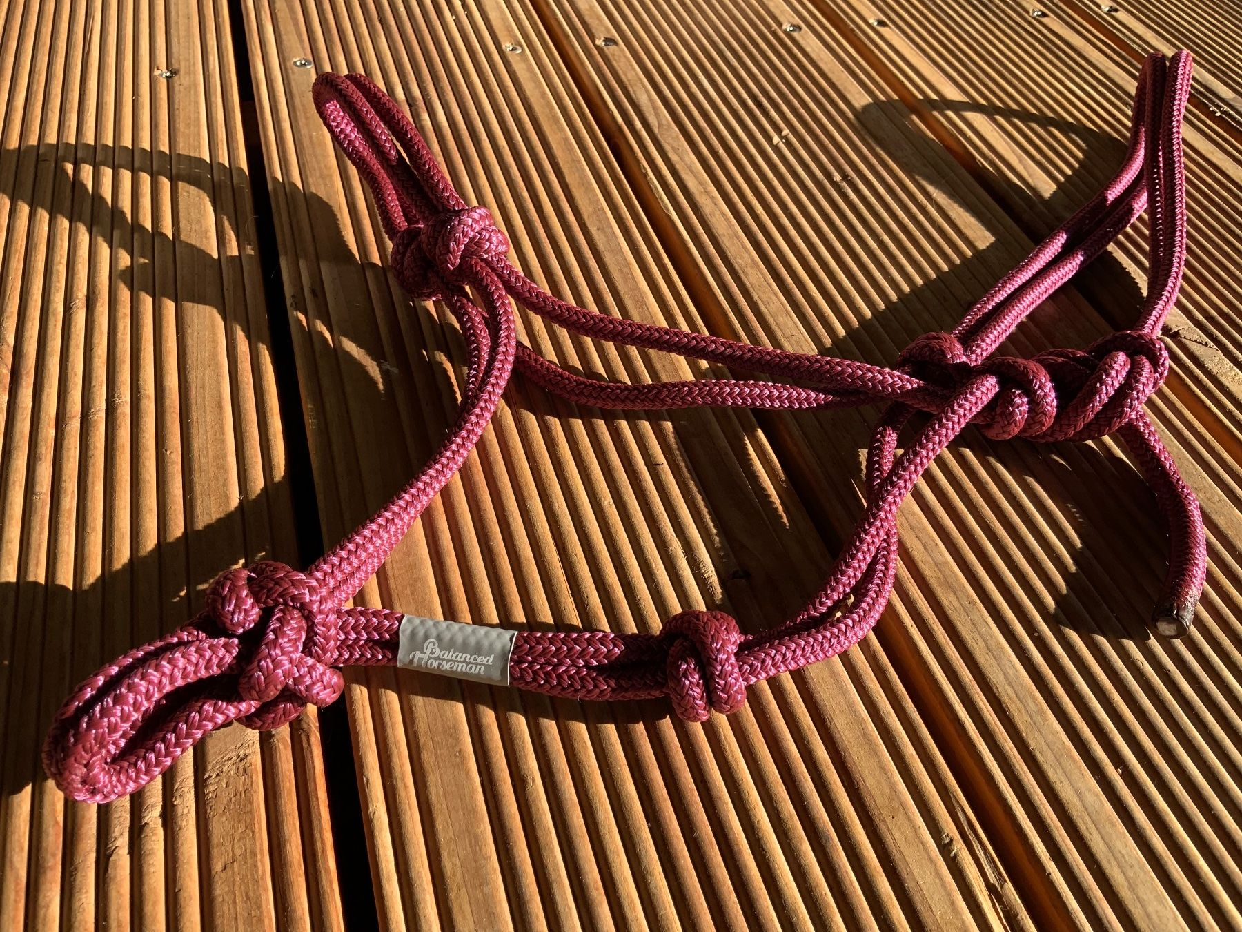 Briglie & Cavezze: Neues Knotenhalfter Pony – Nuovo (secondo la descrizione) da Buchs SG venduto da bri_m6mn 1