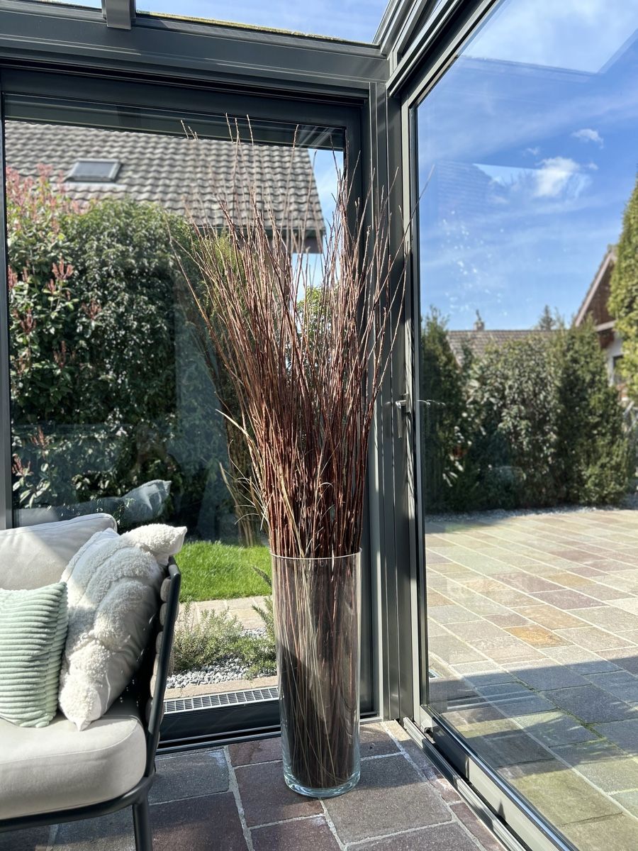 Tutte le decorazioni: Deko Zweige/Äste samt Vase – Usato da Mägenwil venduto da afiloni84