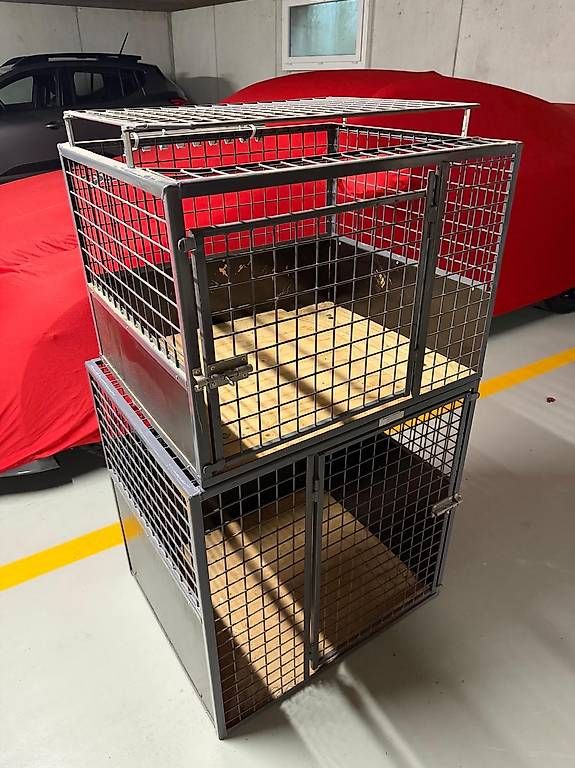 Gabbie, trasporto & Sicurezza: Metallhundebox – Usato da Detligen venduto da inf_c6c5 1