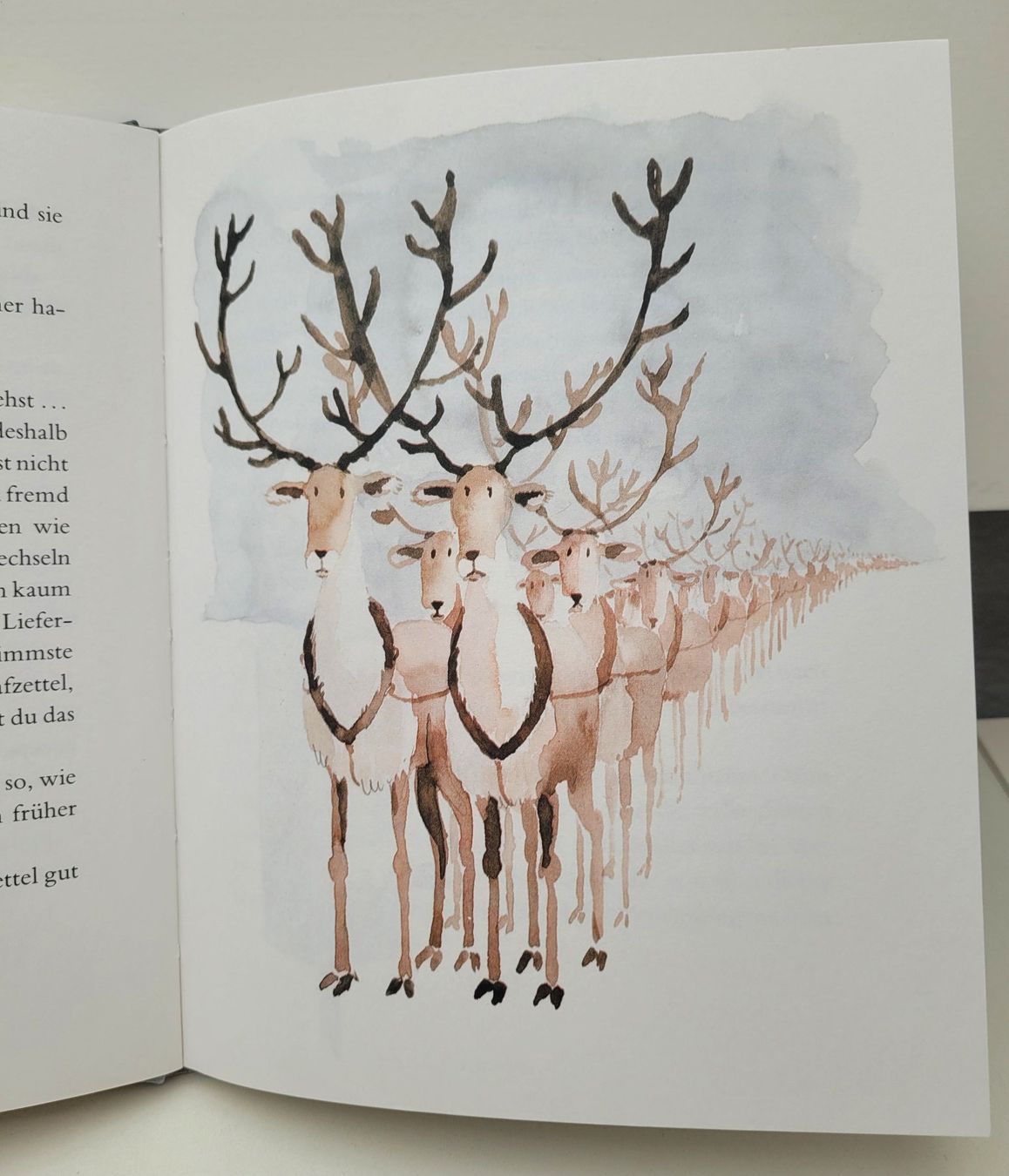 Bücher: Erstausgabe: Der doppelte Weihnachtsmann – Gebraucht aus Oberuzwil von rtr_wp6m 2