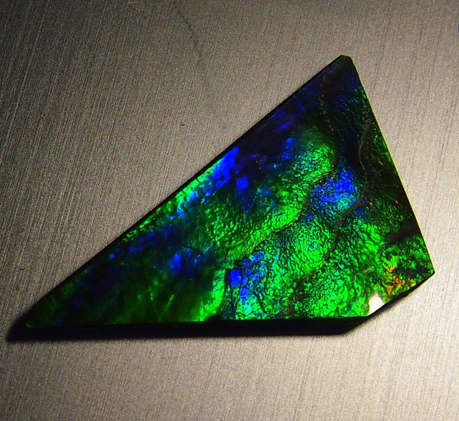 Fossili: 17  Karat Natural funky GEM Ammolite AAA! – Nuovo e nell'imballaggio originale da Reinach BL venduto da Marblue 5