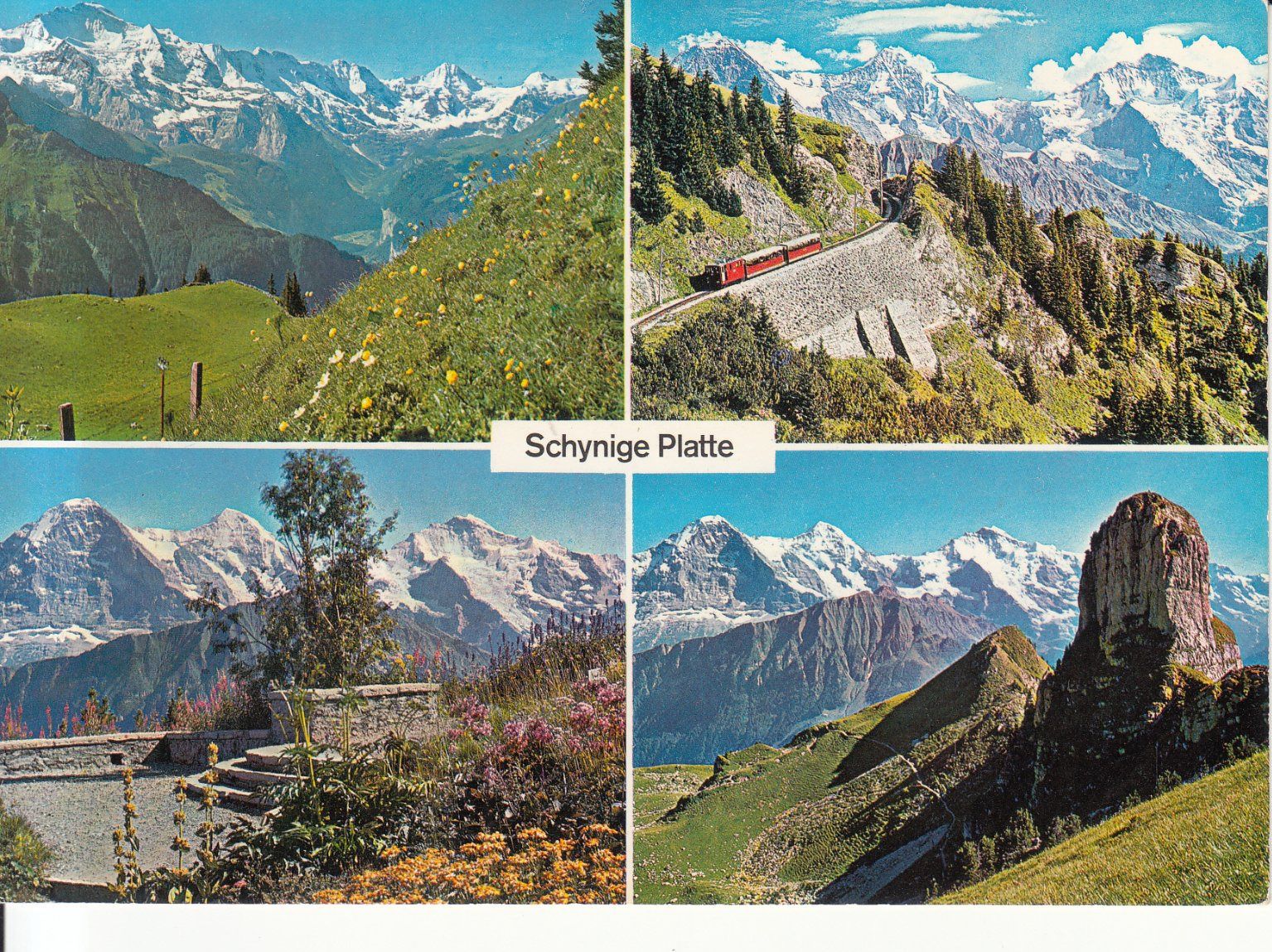 Cartoline postali: Schynige Platte 1970 – Usato da Bürglen TG venduto da StampGraf