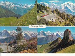 Schynige Platte 1970