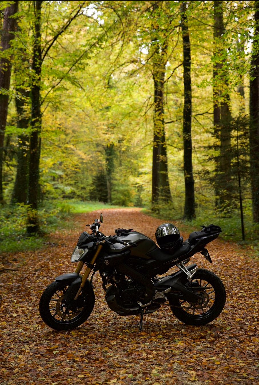 Yamaha Route: Yamaha MT-125, 2016 mit ABS – D'occasion à Rodersdorf par eil_5d7n