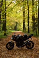 Yamaha MT-125, 2016 mit ABS