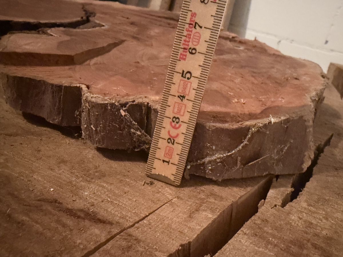Articoli in legno: Eiben Holzscheibe – Nuovo (secondo la descrizione) da Reichenburg venduto da woodlov 2