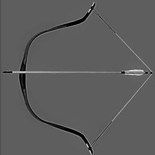 Profile image of Cansin