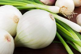 300 Samen Zwiebel TONDA MUSONA ( weiss ) Italienische Sorte