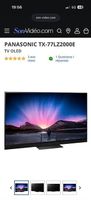 Panasonic oled