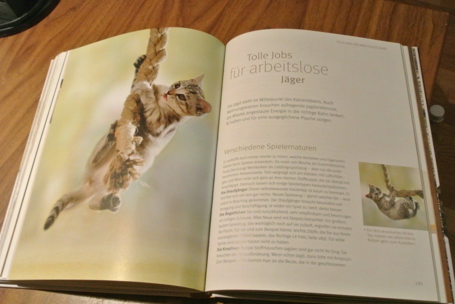 Libri: Wohnungs Katzen – Usato da Rüschlikon venduto da CBPL 2