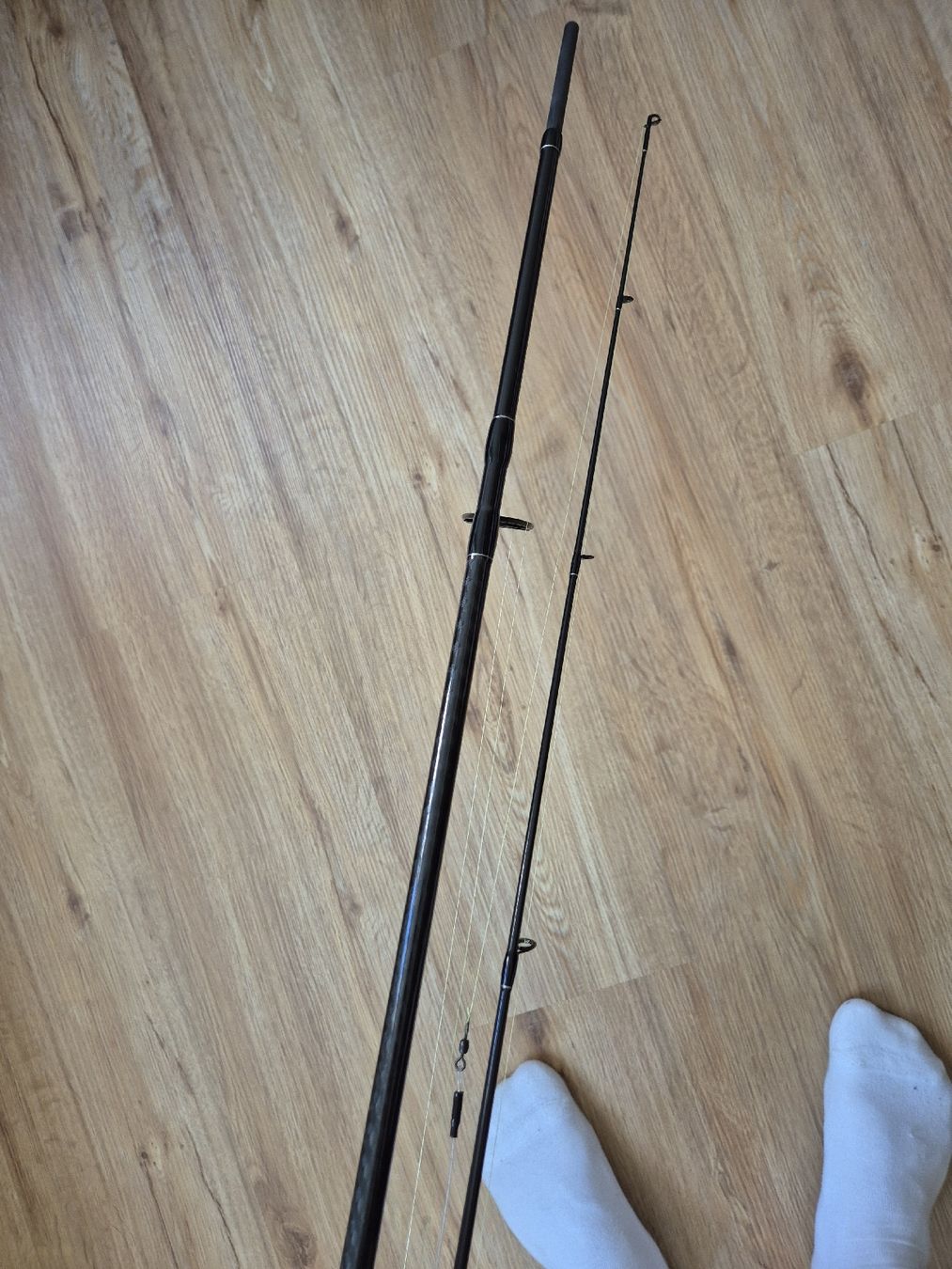 Daiwa Canne da pesca: Daiwa Prorex inkl. Rolle – Nuovo (secondo la descrizione) da Beckenried venduto da fon_fc2l 6