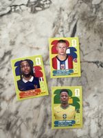 Panini 