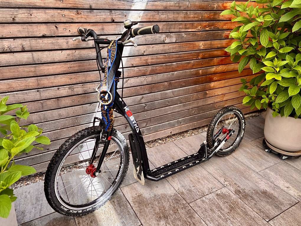 Kickboard: Dogscooter Trottinett Kostka – Usato da Heitenried venduto da sab_d8tp