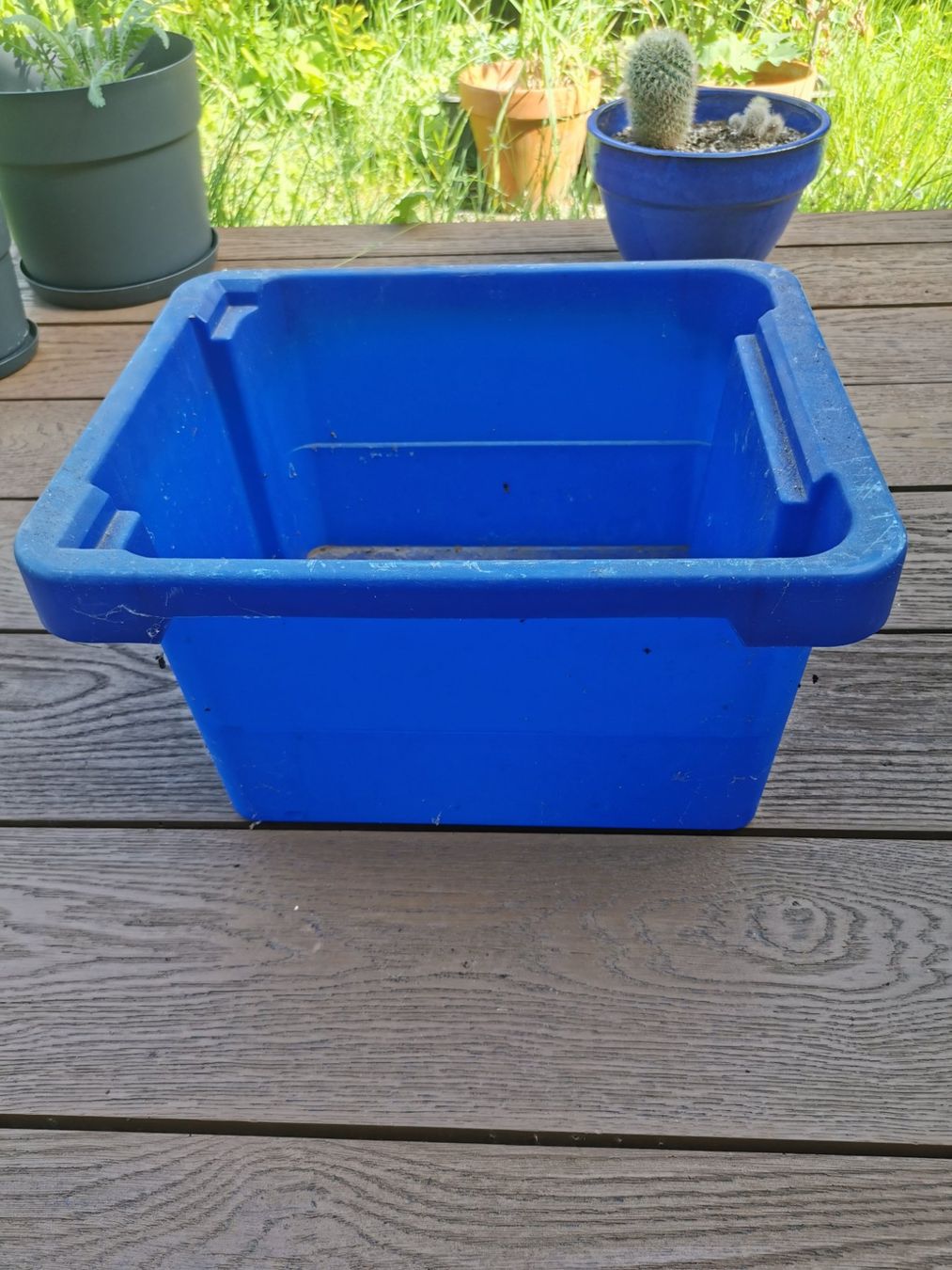 Casse di trasporto: Robuste blaue Kunststoffbox – Usato da Glattfelden venduto da sut_q8d2 1
