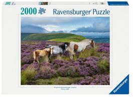 Ravensburger 2000 Teile Puzzle Wildpferde