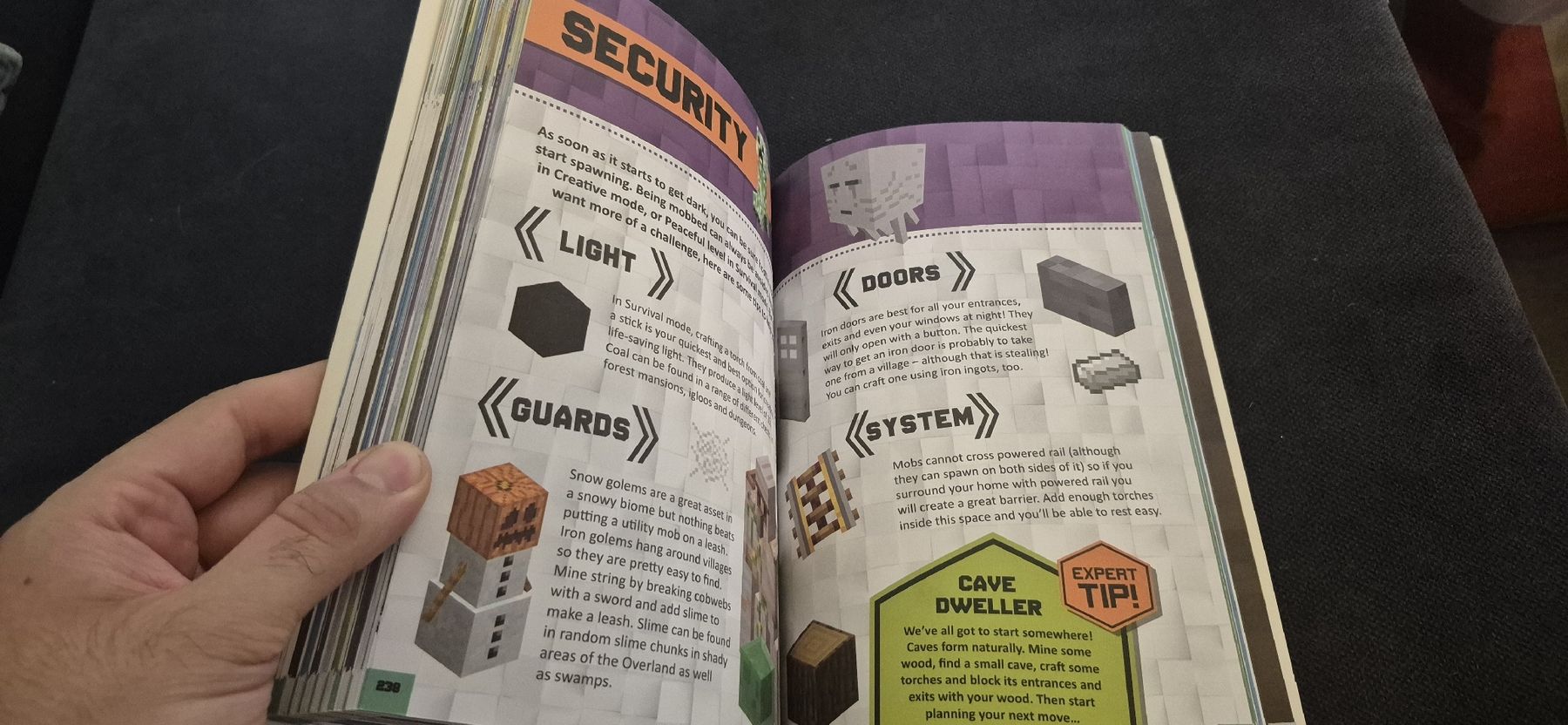 Libri: ULTIMATE MINECRAFT MASTER BUILDER GUIDE VIDEO GAMES ENGLISH  – Usato da Grand-Lancy venduto da luc111 6
