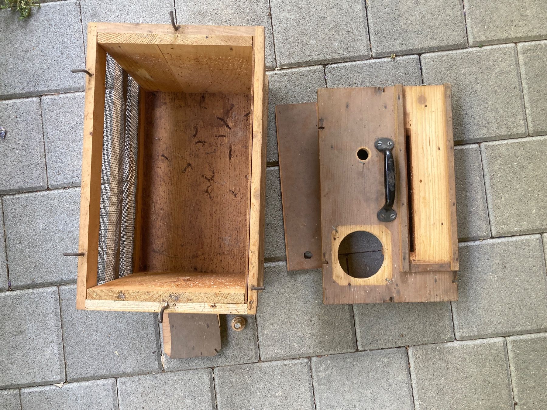 Alveari: Bienen-Schwarmkasten mit Griff und Drahtgitter – Usato da Haemikon venduto da Helibee 2
