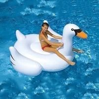 Schwan  / Ferien 152 cm Riesig Gross