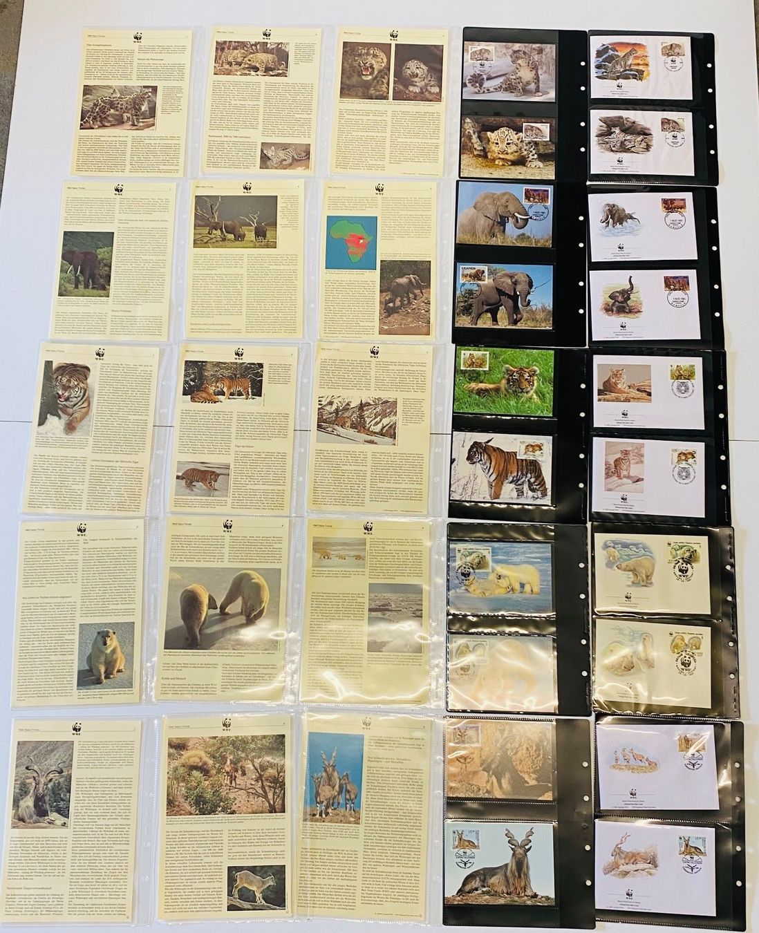 Tutti i francobolli: Sammlung 50 Seiten Tiger Leopard Elefant Eisbär Ziege – Nuovo (secondo la descrizione) da Müswangen venduto da buyin 5
