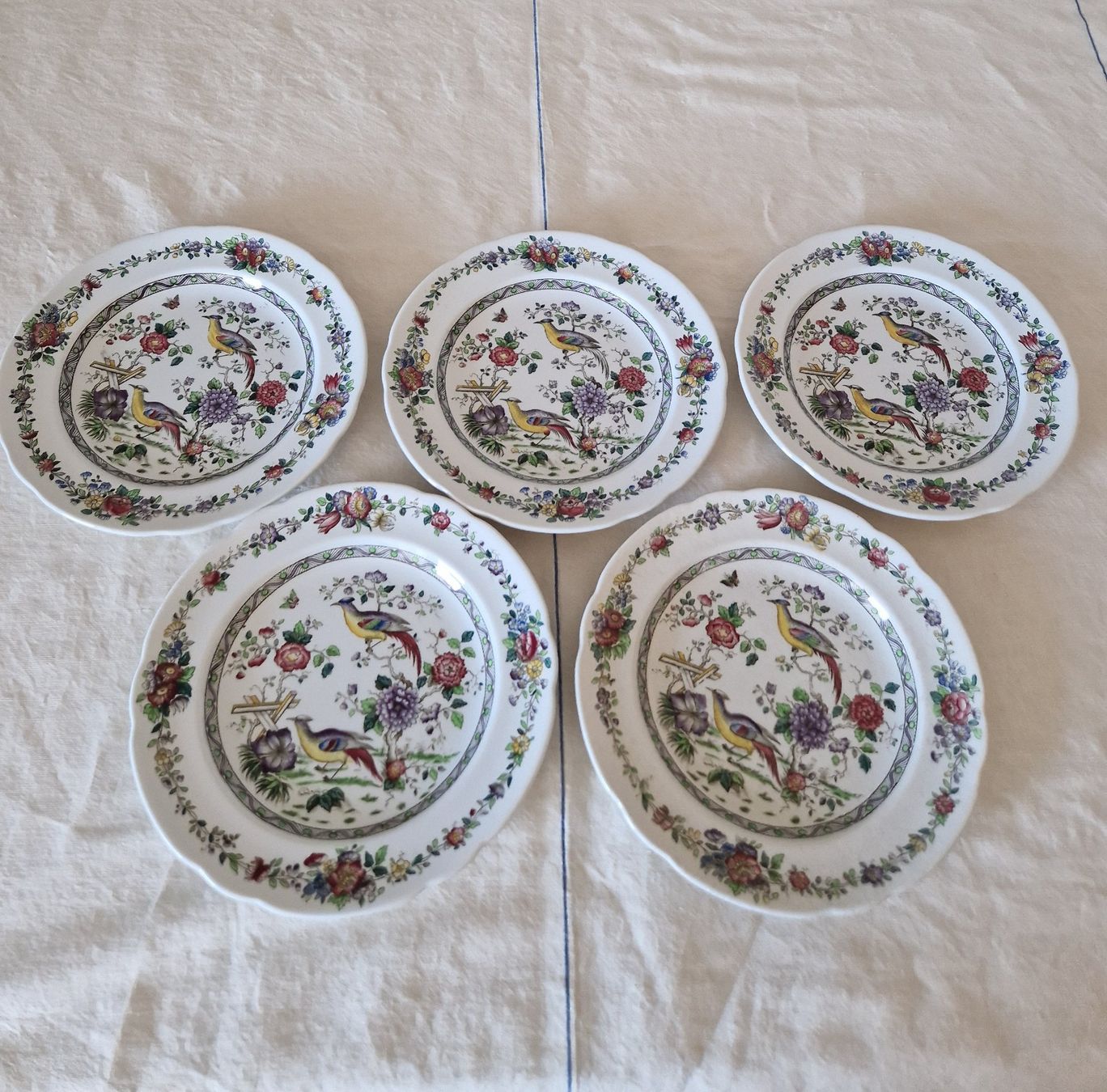 Spode Piatti: Spode Teller Antik – Usato da Bern venduto da Antikbatik 1