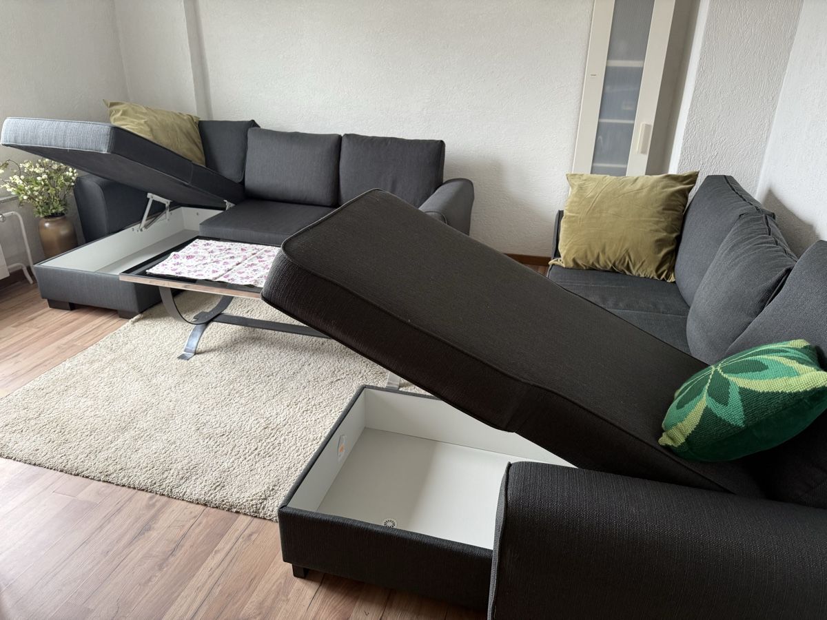 Divani: Sofa – Usato da Schlieren venduto da Flower5 3