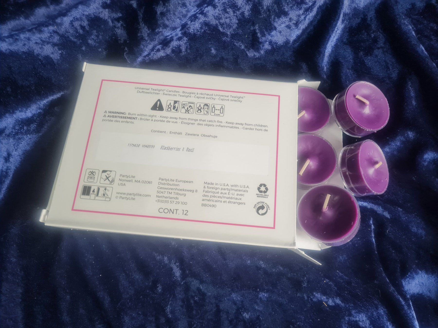 Partylite Candele: PartyLite - 12 Teelichter Blackberries + Basil – Nuovo e nell'imballaggio originale da Othmarsingen venduto da Kleibai