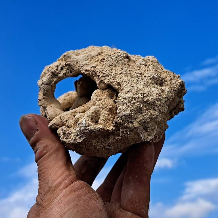 Minerali & Pietre curative: Tuffstein Dekoration Naturstein Tuff – Usato da Niederwil SO venduto da Eldinel 1