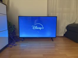 Samsung TV Länge 96cm x Höhe 56cm