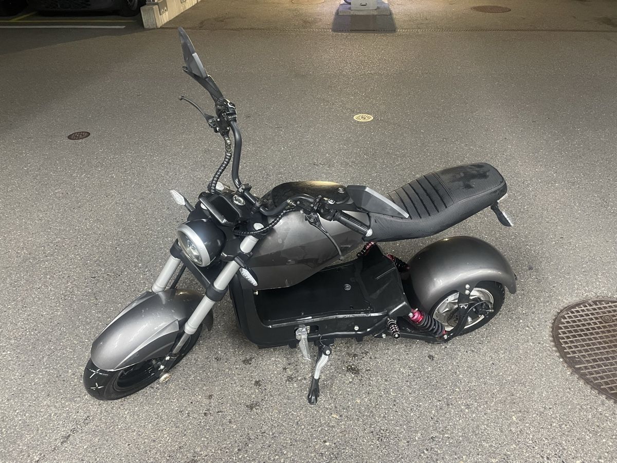 Züriflizzer Elektromobile: City Max RR  – Gebraucht aus Uster von dominic2002 2