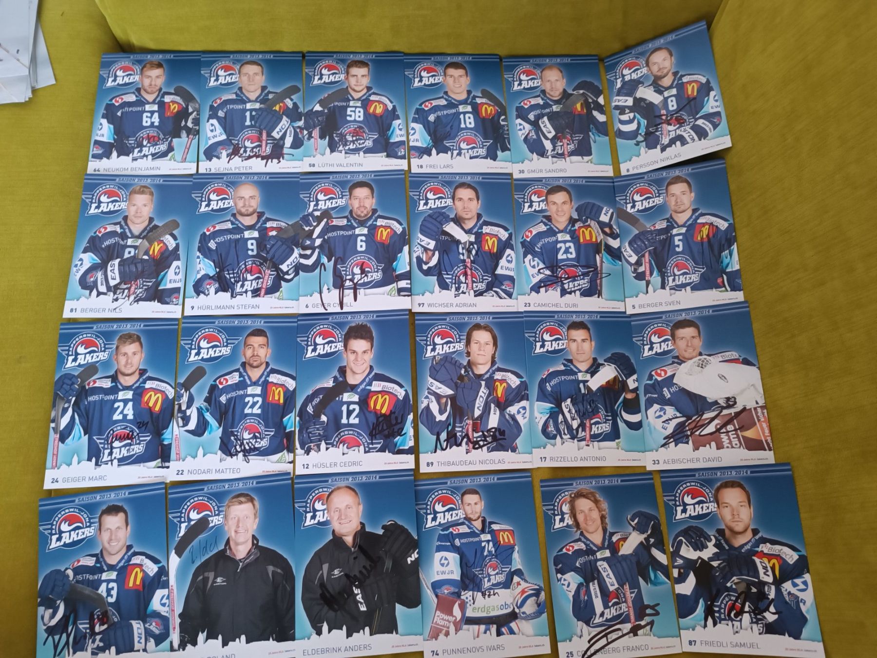 Autografi: 24x Rapperswil-Lakers 2013/2014 - handsigniert – Usato da Menziken venduto da Artographs