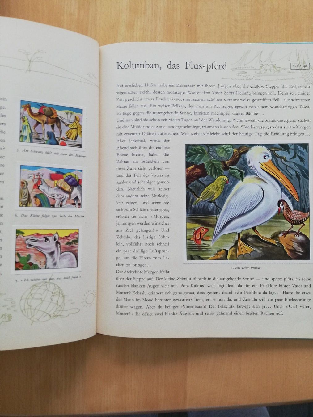 Libri: 24 Tiermärchen Band 2 – Usato da Hildisrieden venduto da Malve 2