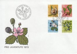 1973 Pro Juventute FDC Früchte des Waldes FDC