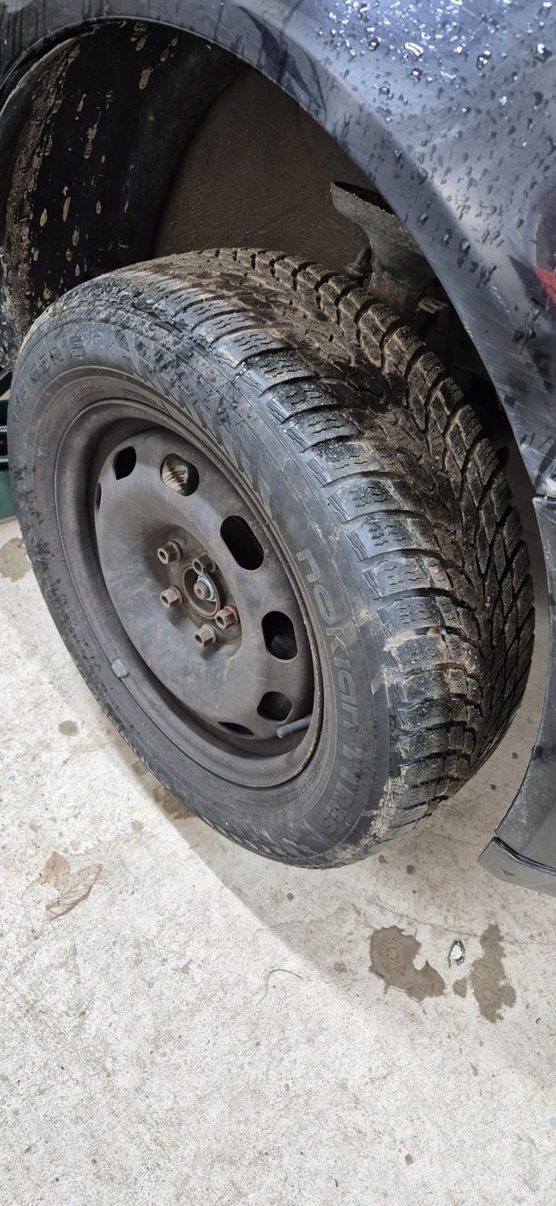 Nokian Pneus & Roues: Winterräder zu Golf4 – D'occasion à Egg SZ par Bko1 2