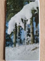 Grusskarte Schnee Winter Eis