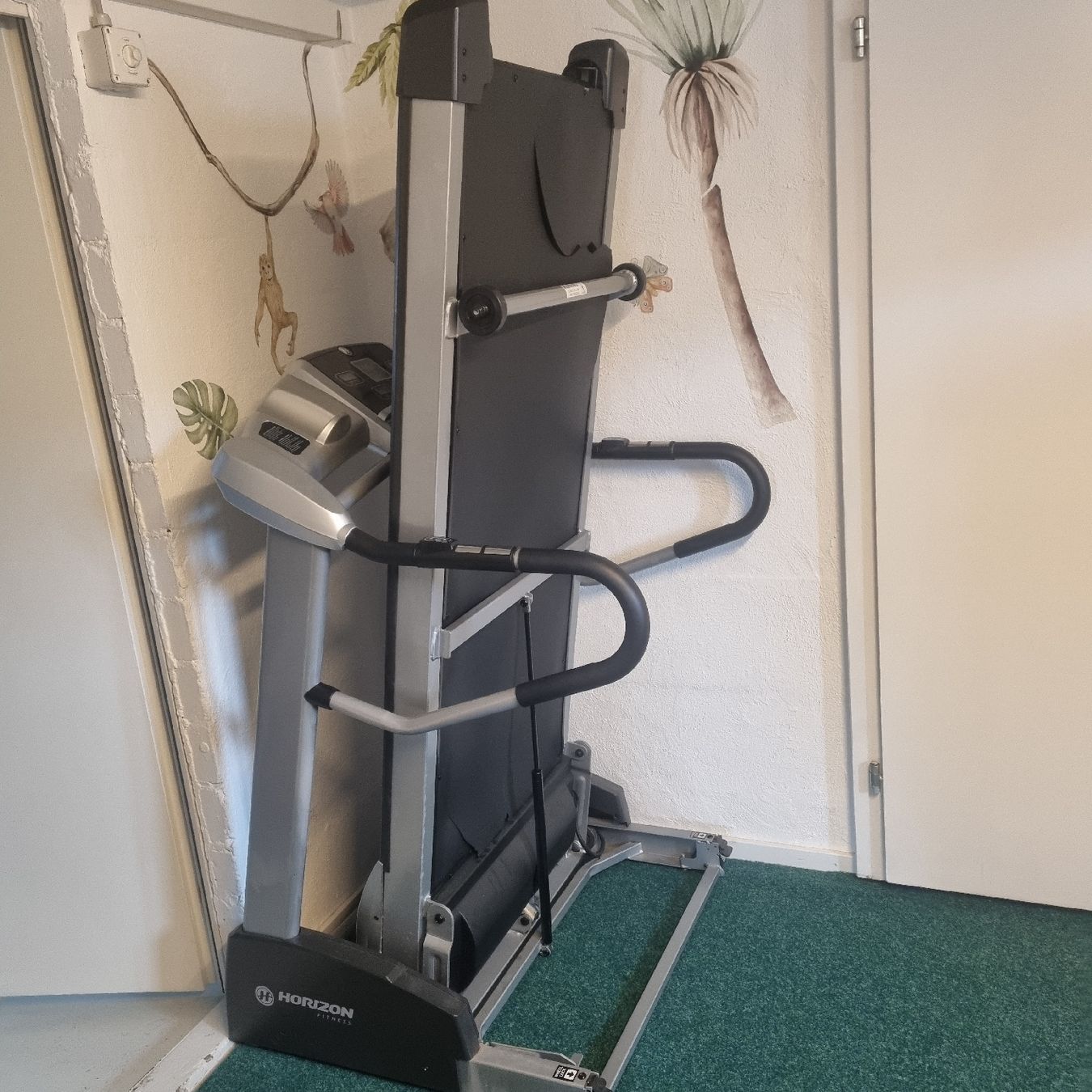 Hometrainer: HORIZON Paragon Laufband – Usato da Aettenschwil venduto da jepe24 2
