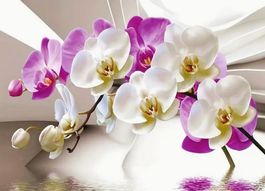 Diamond Painting Schmetterlings-Orchideen-4-30x40-Ti1
