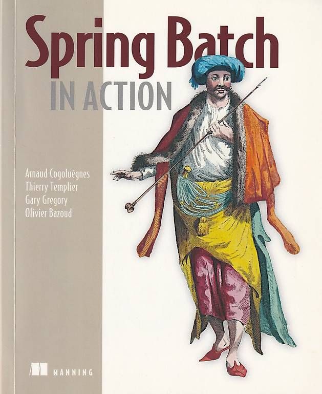 Libri: 5 IT-Bücher Java Spring Maven HTML CSS  Paket – Usato da Brunnen venduto da eli_9mtk 3
