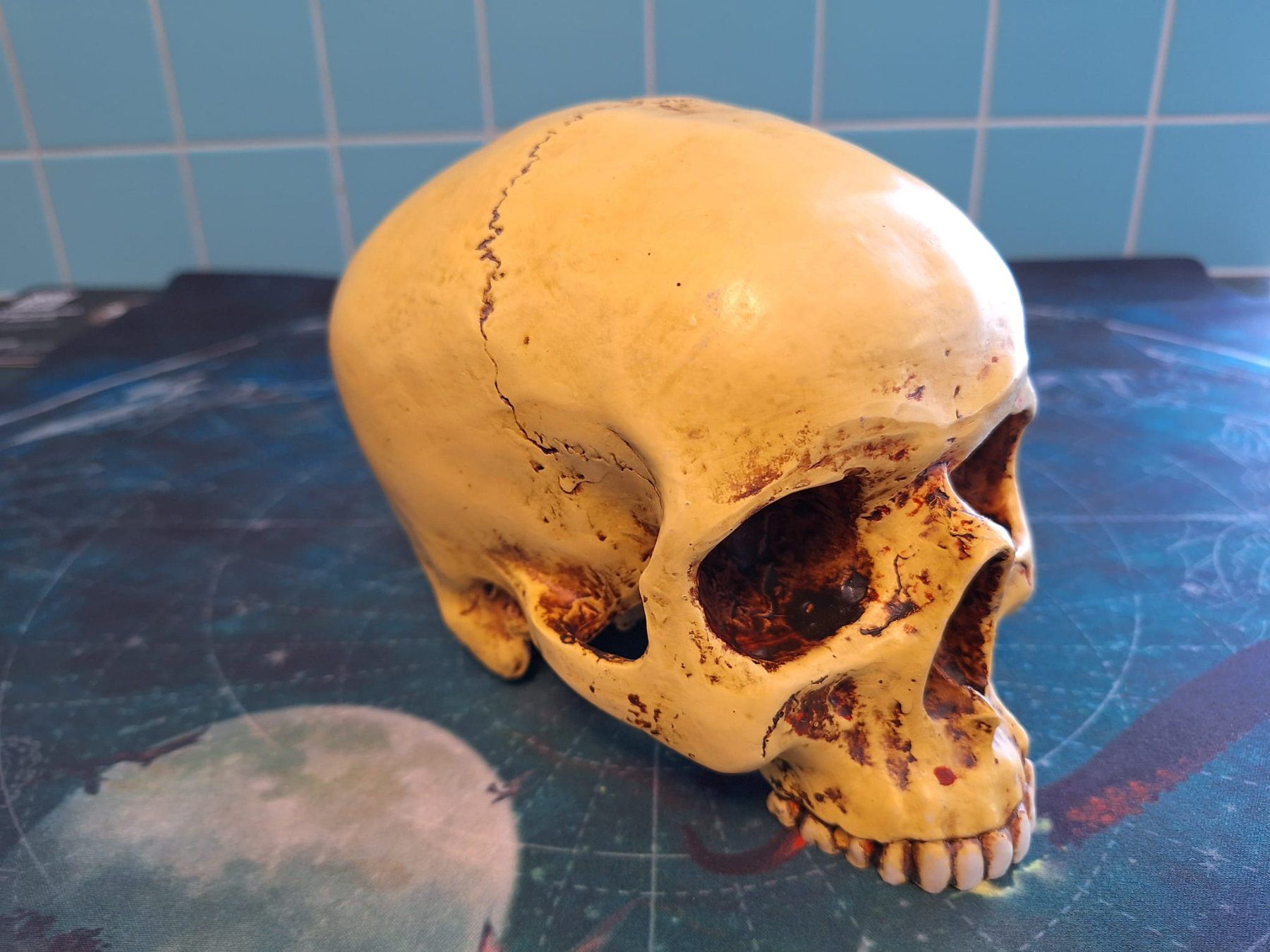 Statuette: Deko Schädel, Totenkopf – Usato da Aarau venduto da bag_t65l 2