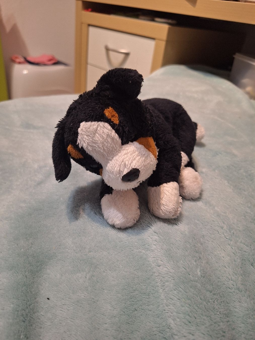 Giocattoli: Peluche chiot adorable – Usato da Martigny venduto da fau_678l