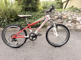Scott jr 20 zoll