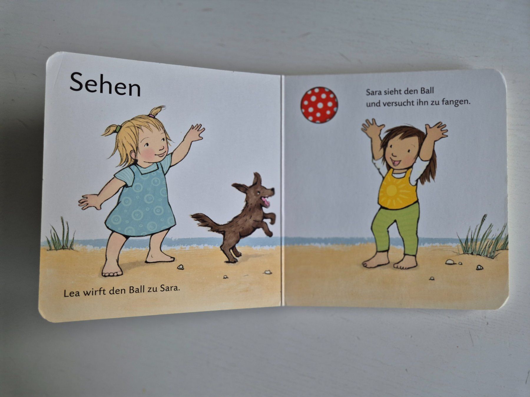 Libri: Kinderbuch: Alle meine Sinne – Usato da Aarburg venduto da i_c6r8 1